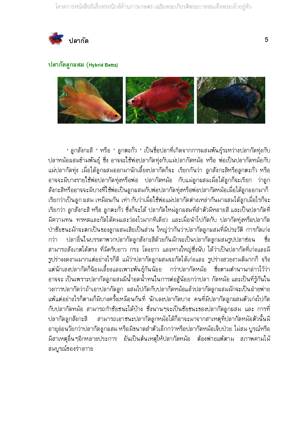Page 5