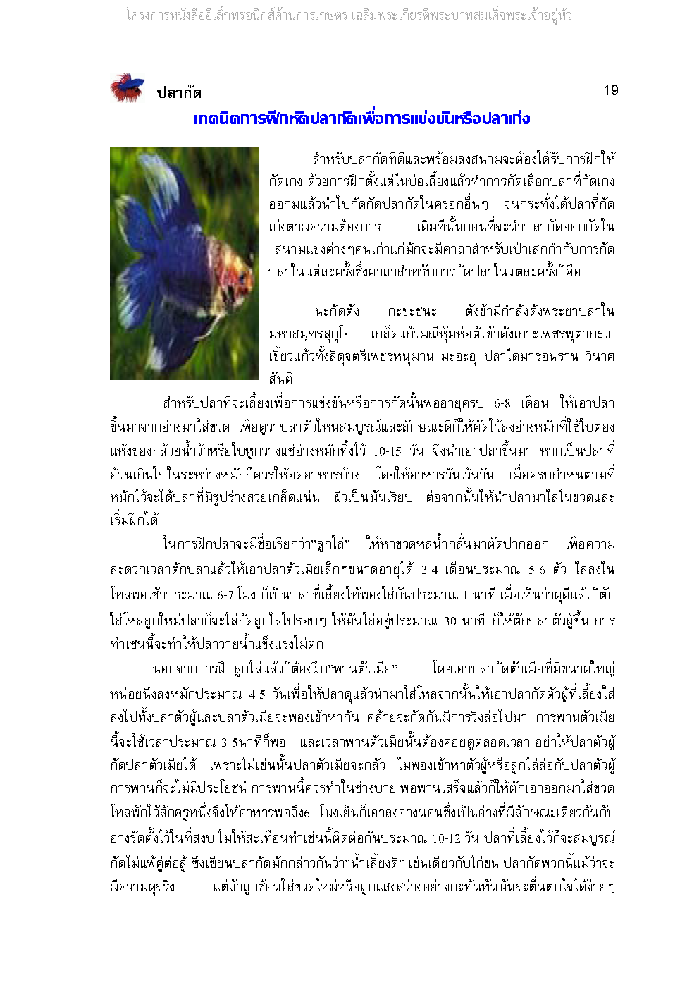 Page 19