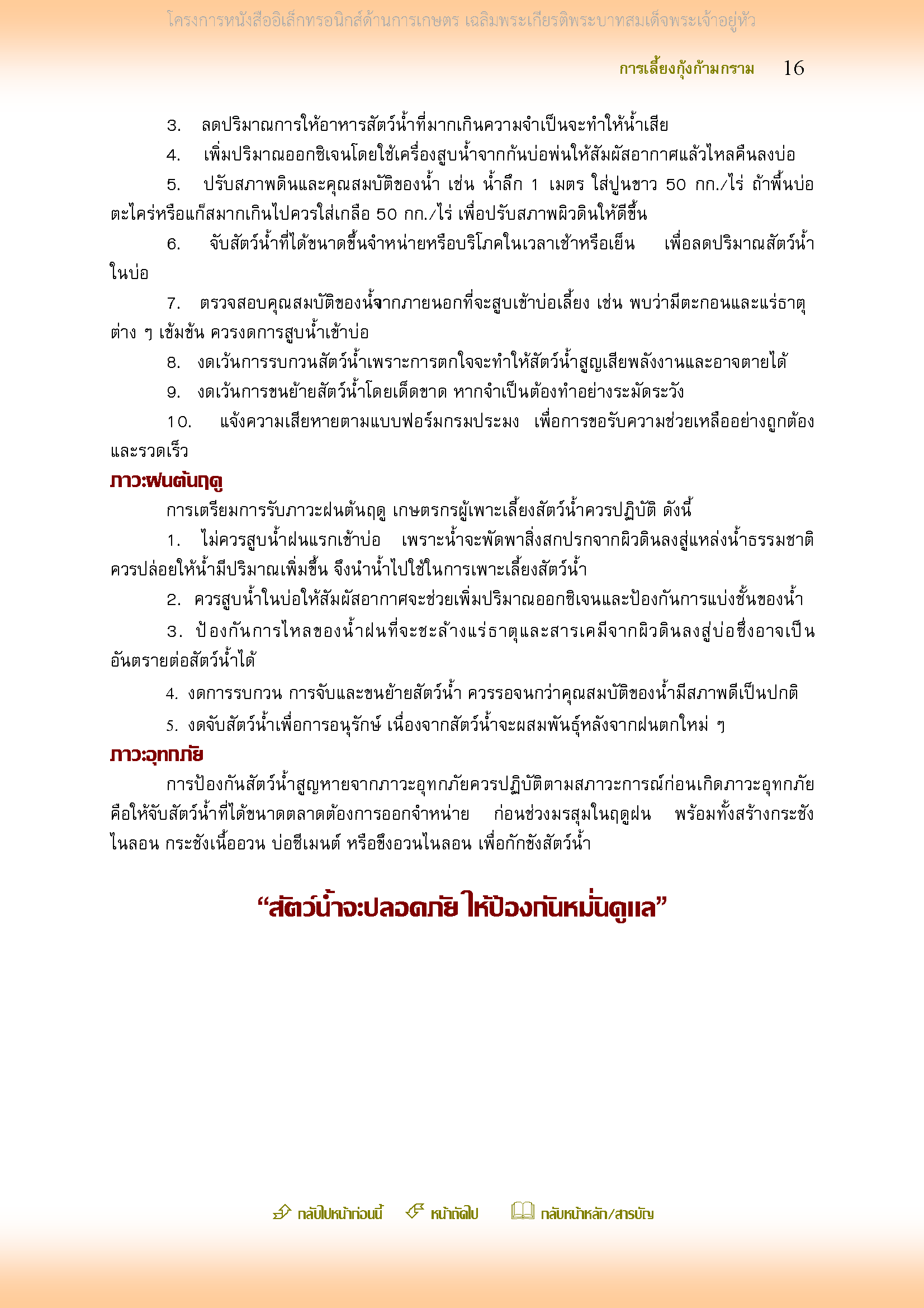 Page 16