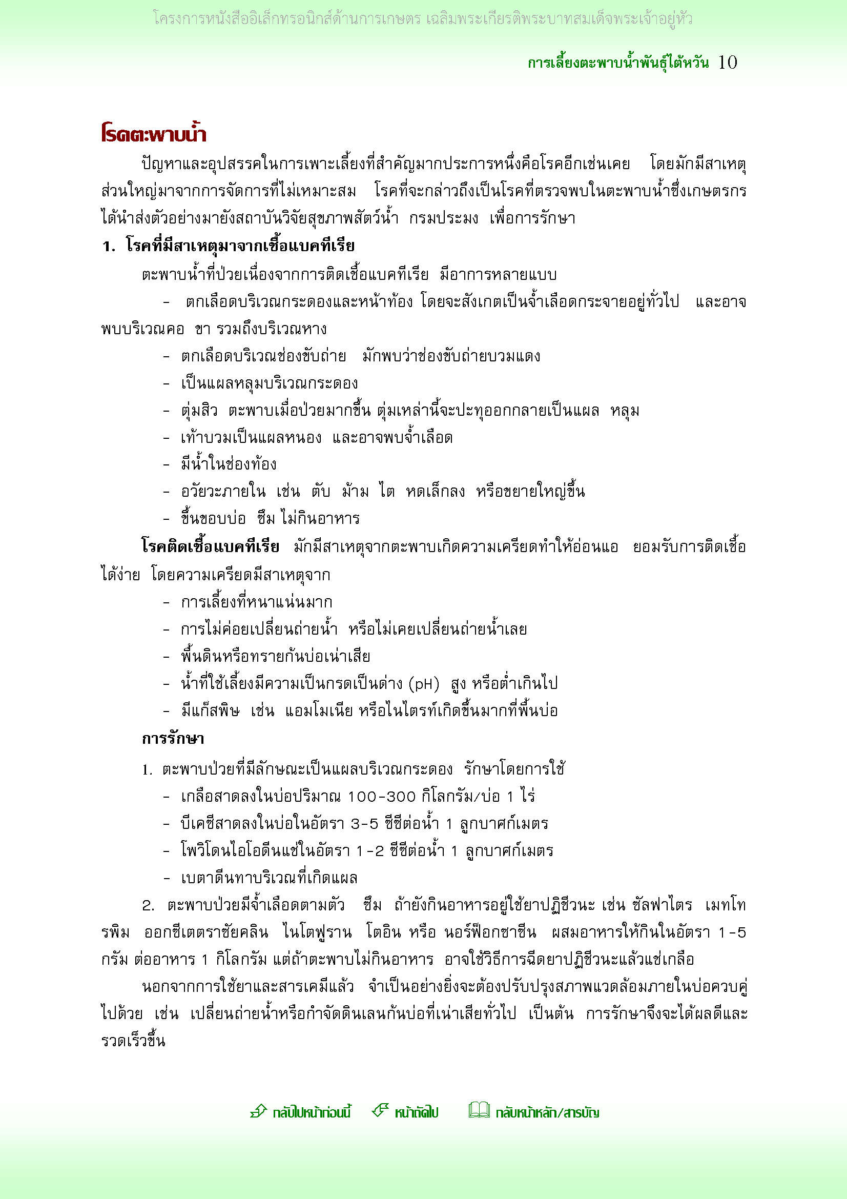 Page 10