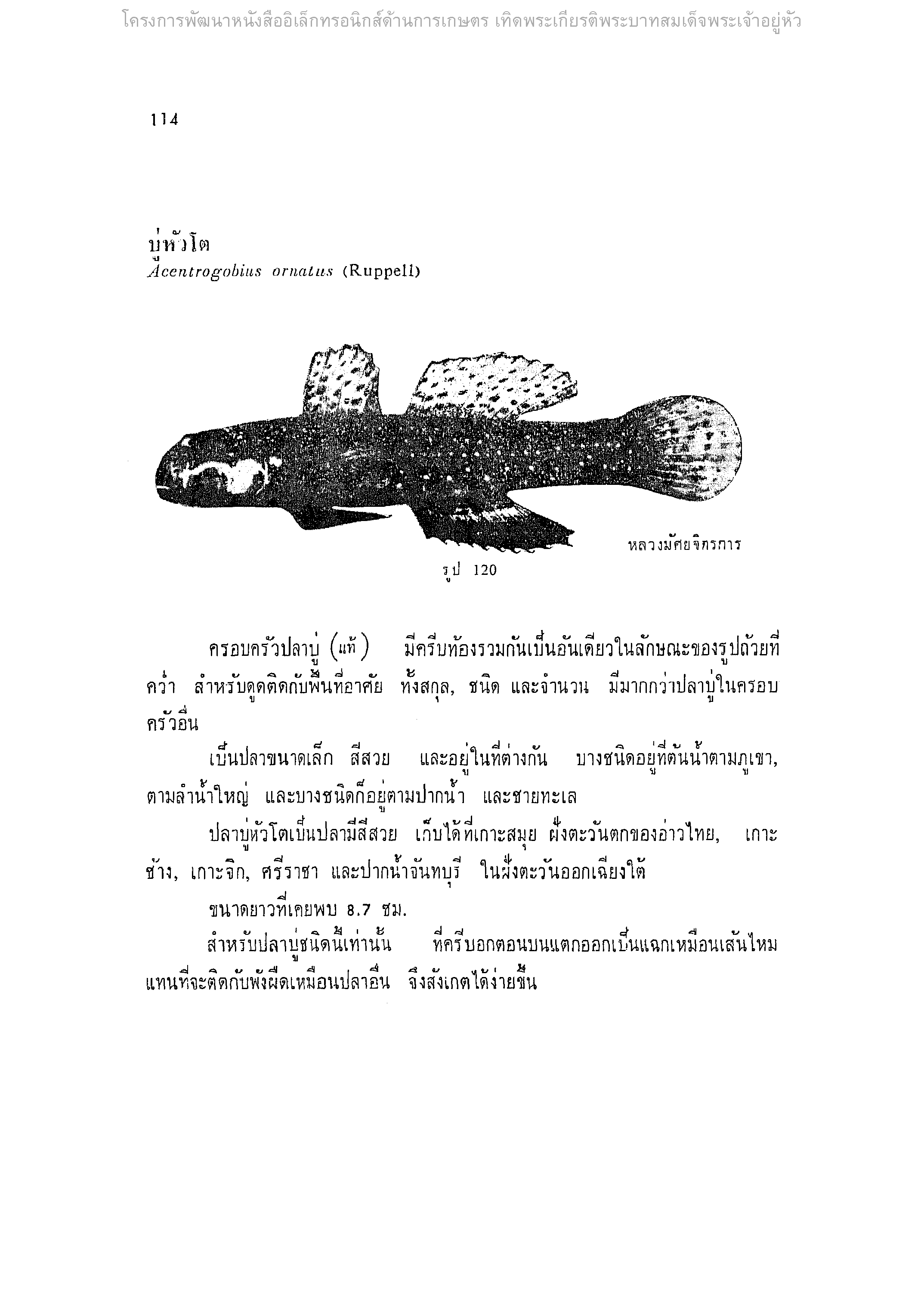 Page 136