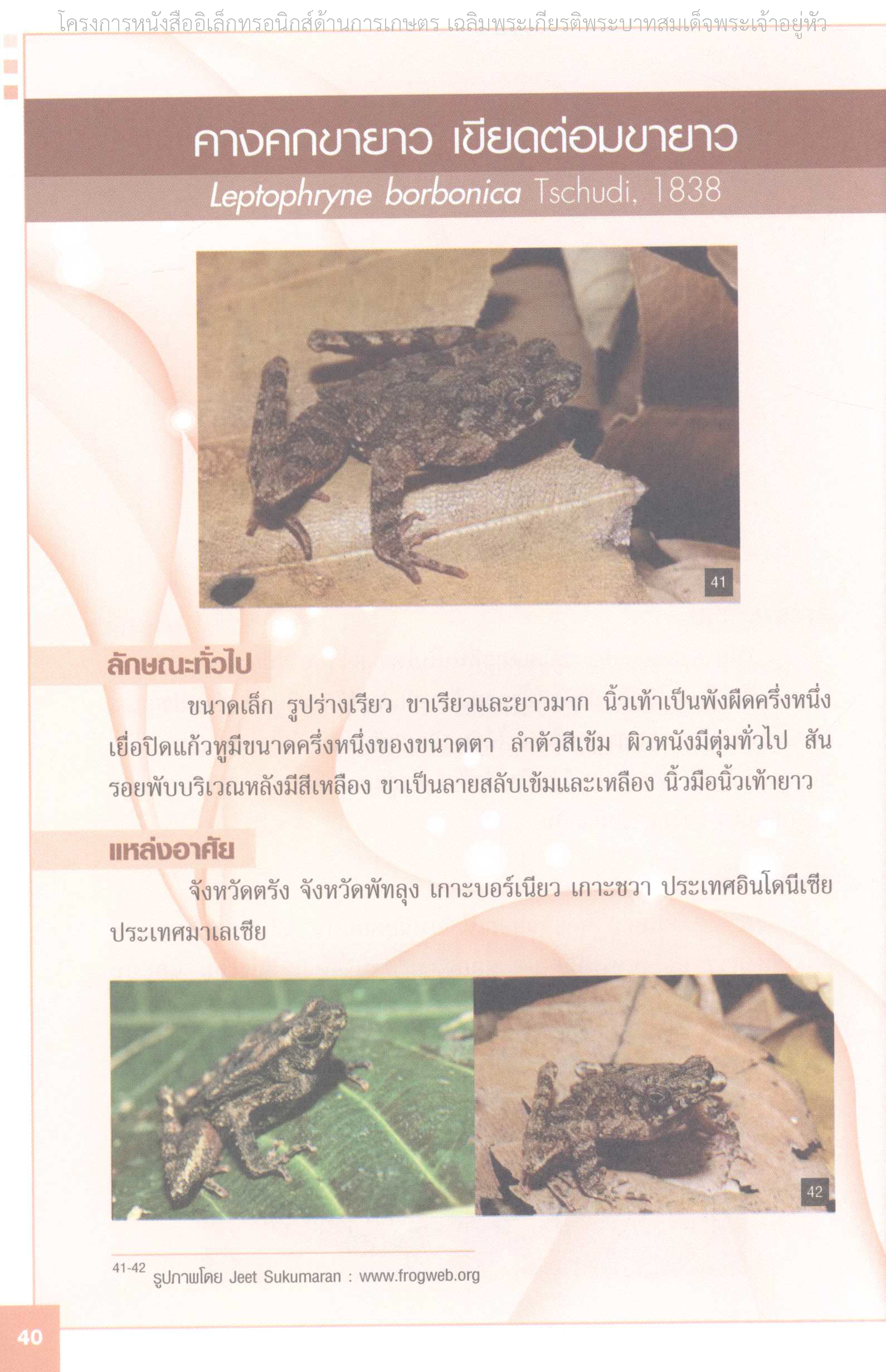 Page 47