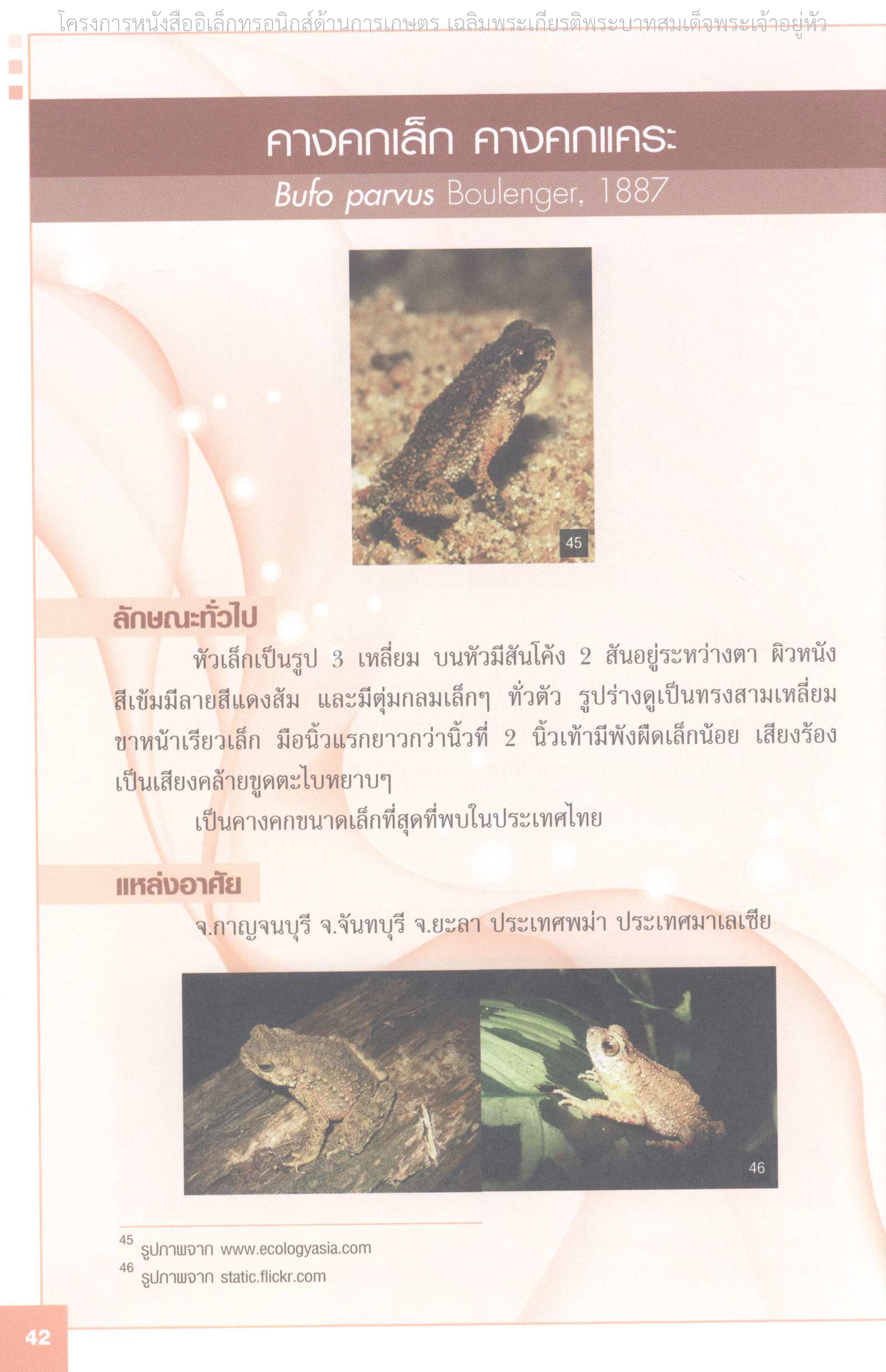 Page 49