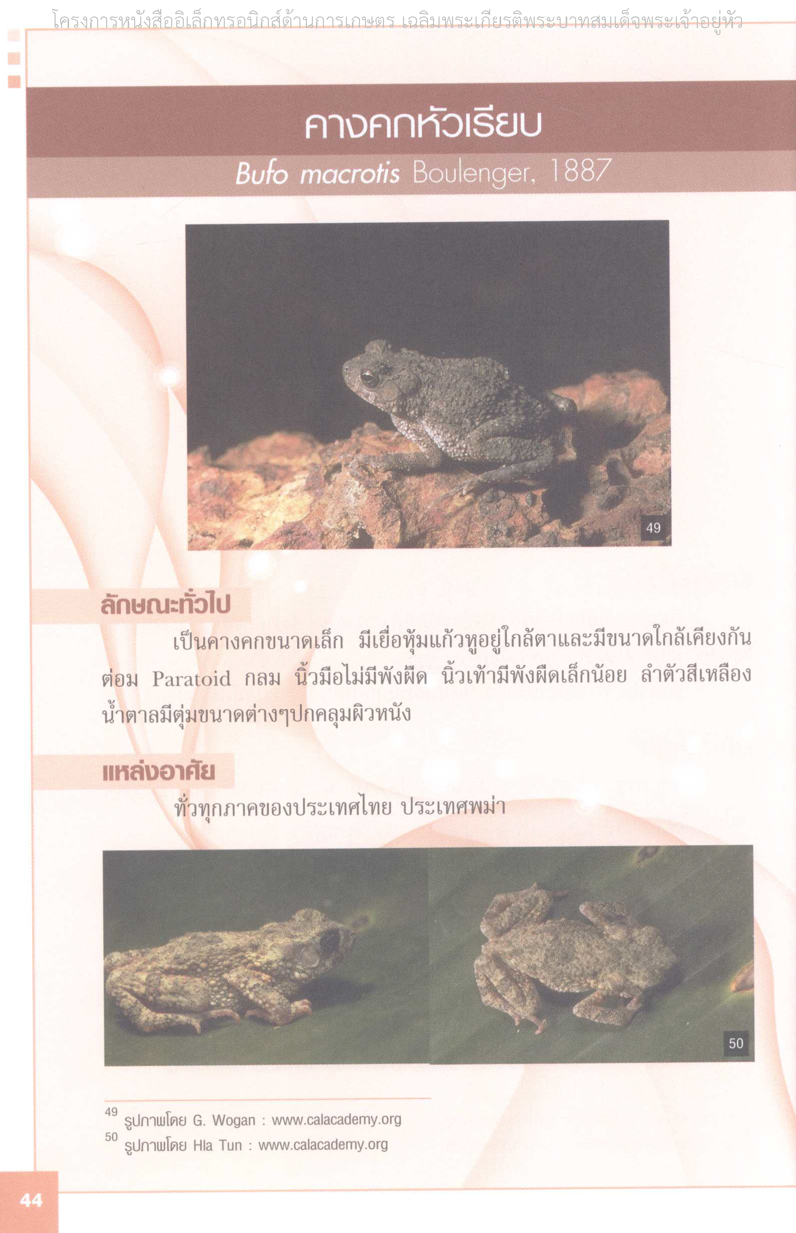 Page 51