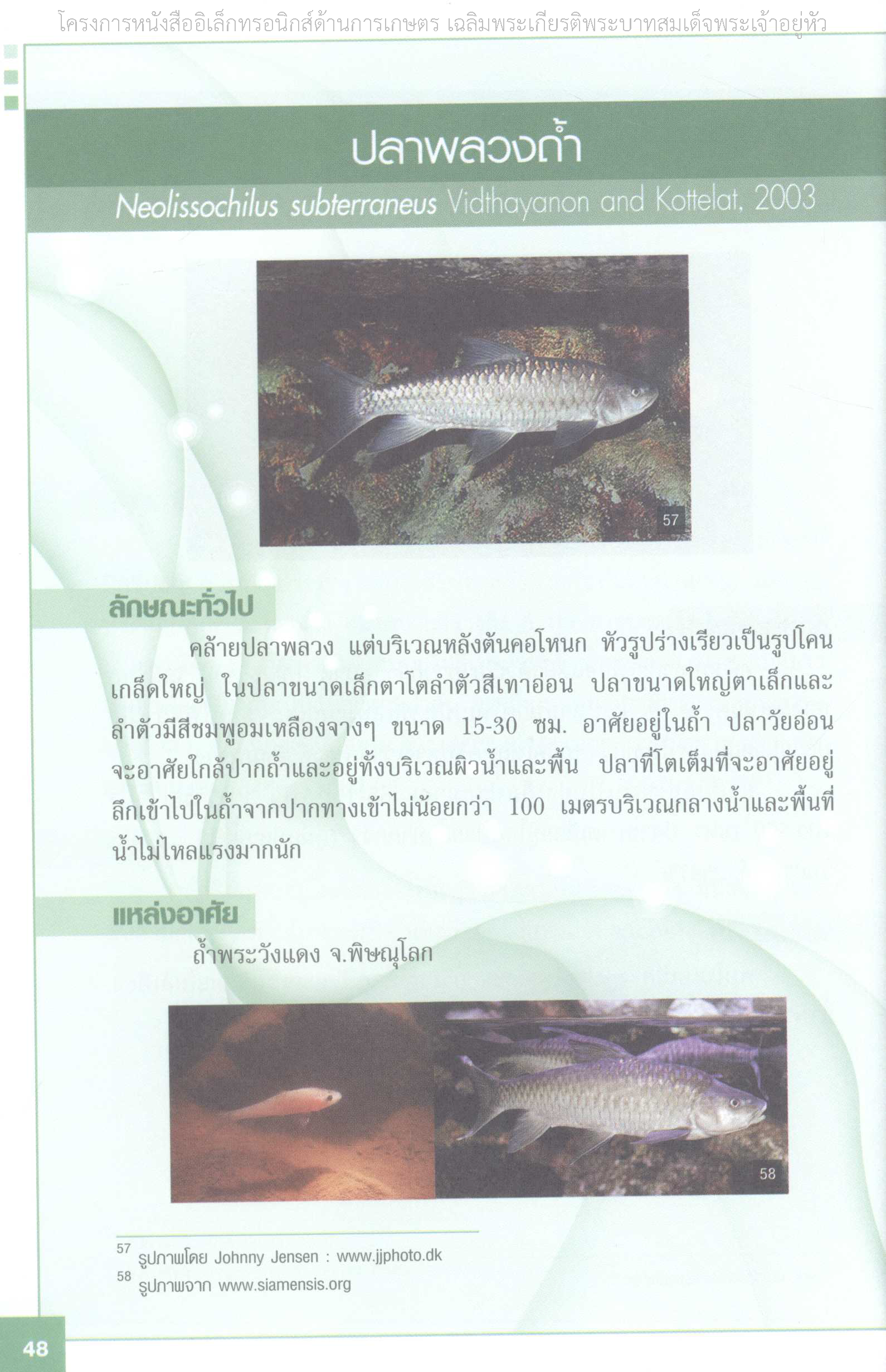 Page 55