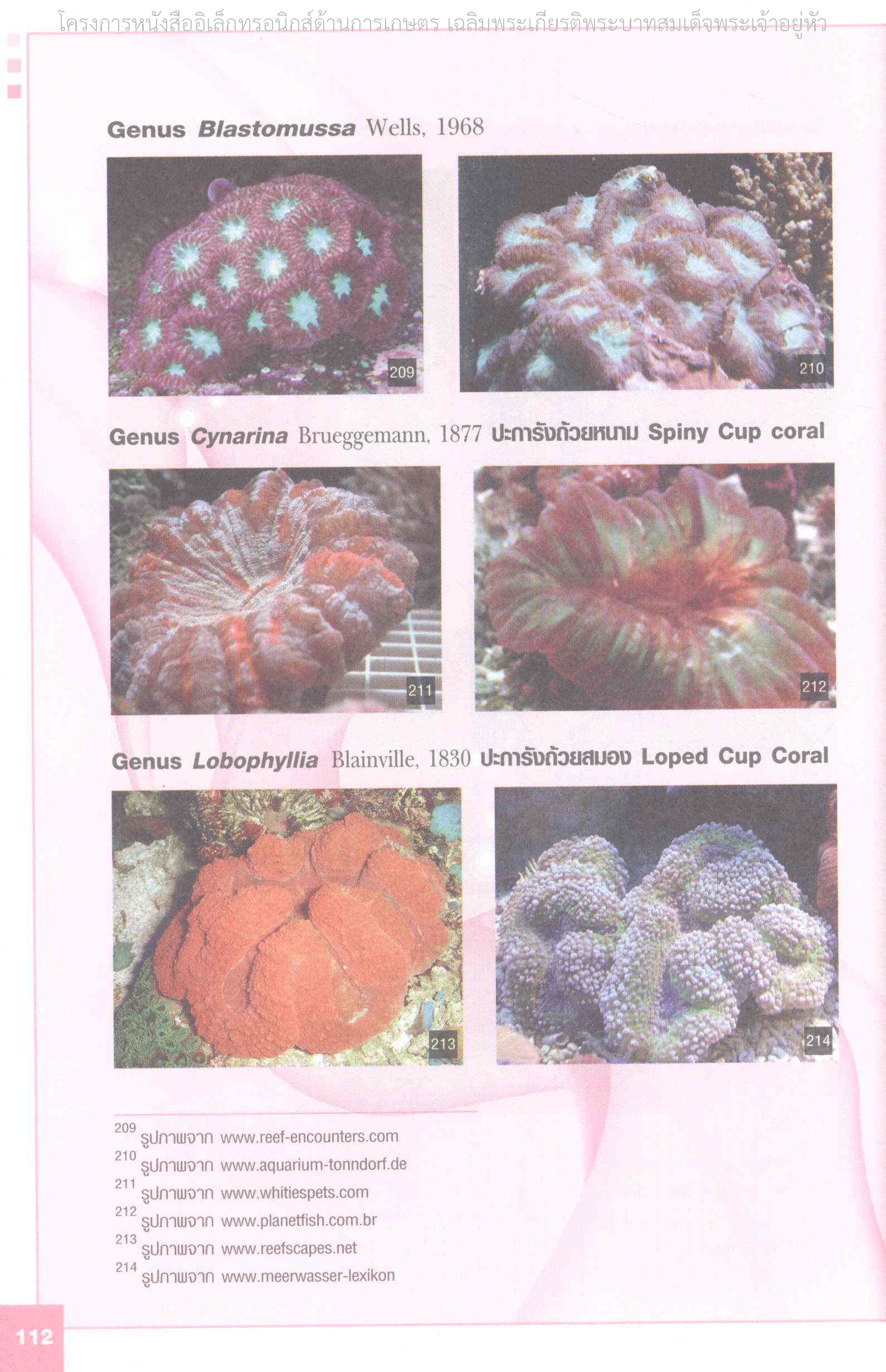 Page 119