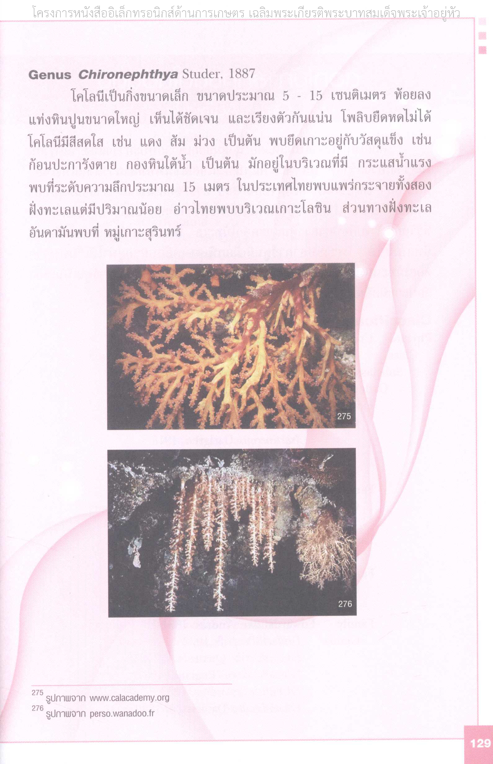 Page 136