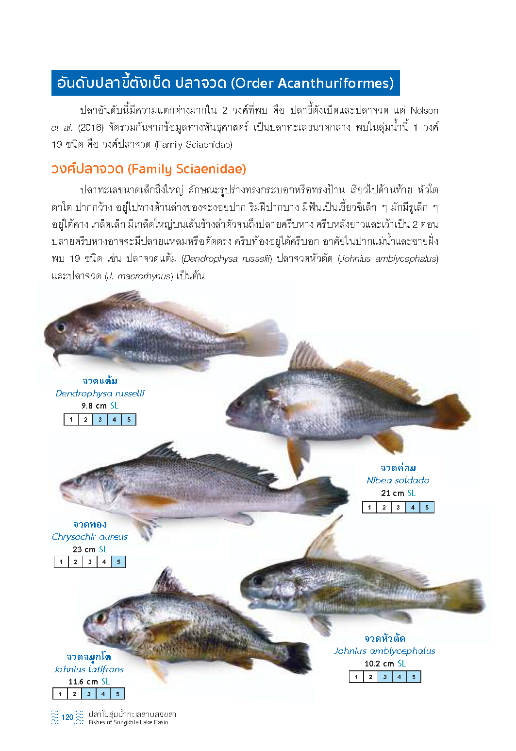 Page 122