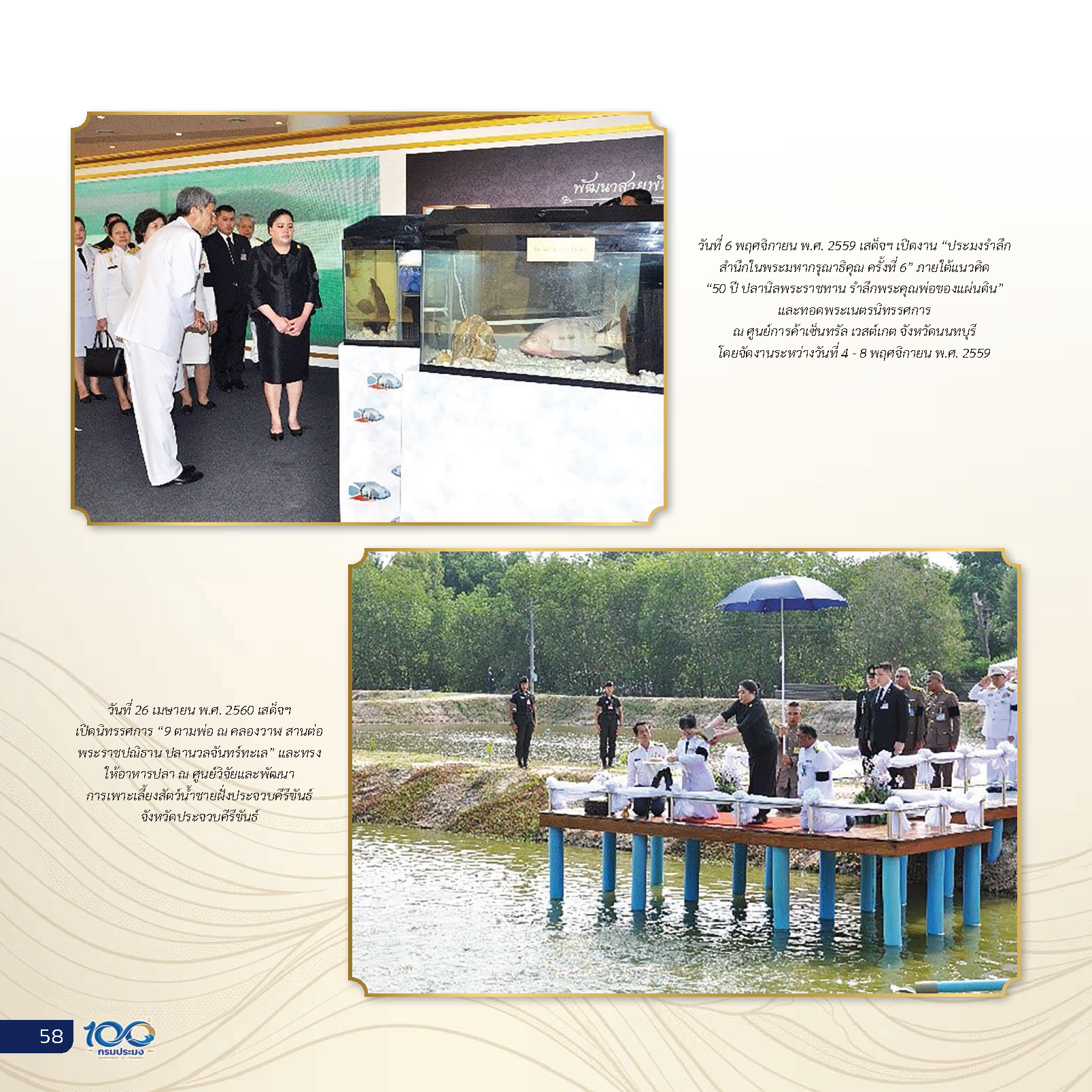 Page 62