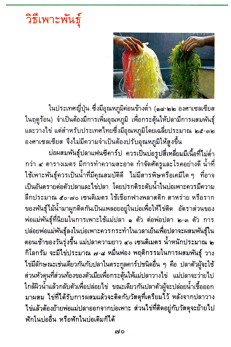 Page 70