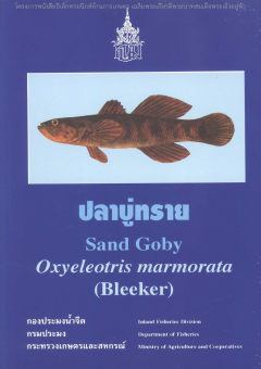 ปลาบู่ทราย