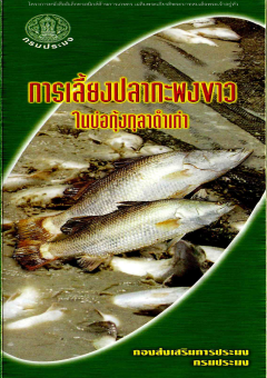 การเลี้ยงปลากะพงขาวในบ่อกุ้งกุลาดำเก่า
