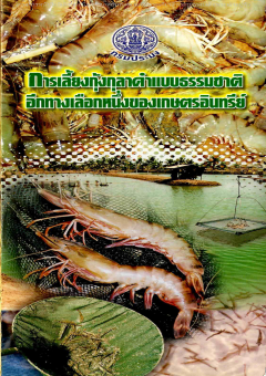 การเลี้ยงกุ้งกุลาดำ แบบธรรมชาติอีกทางเลือกของเกษตรอินทรีย์